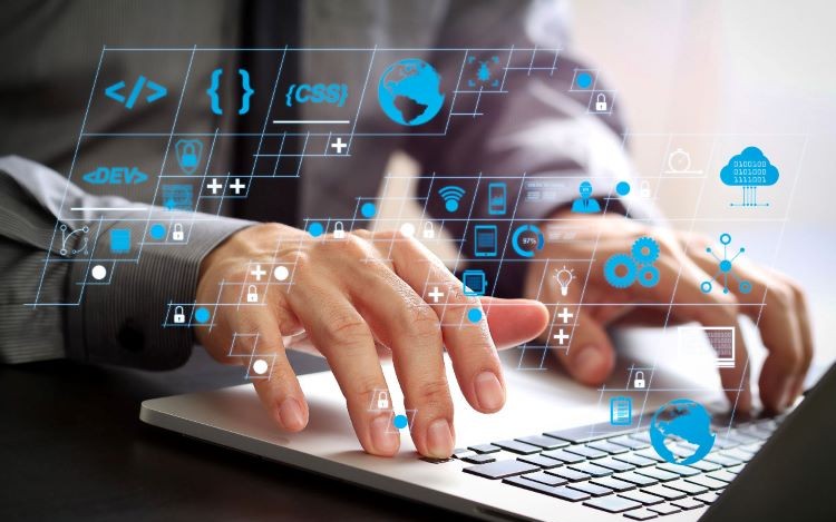 Software Development and Customization